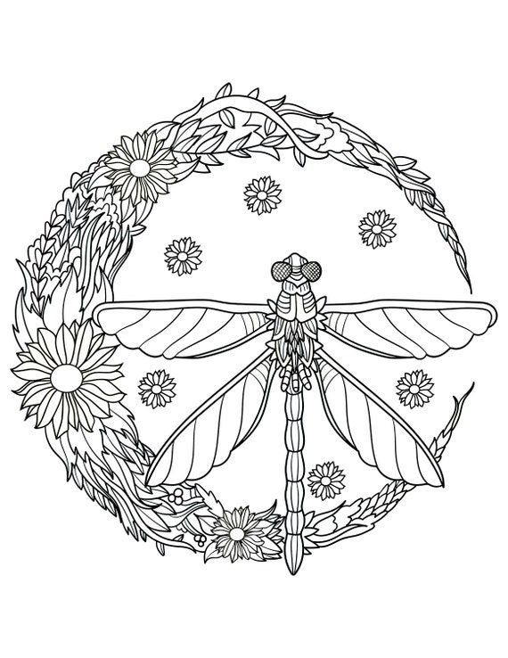 Dragonfly Coloring Worksheets Dragonfly Color By Number | Free