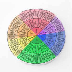 May include: A round, colorful emotions wheel with words like "joy," "anger," and "sad." The wheel is divided into sections, each representing a different feeling, with corresponding words. The design is printed on a soft, white surface.
