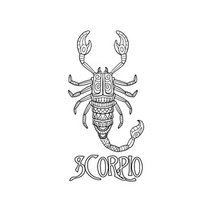 Scorpio Coloring Page / Digital Download / Printable - Etsy Australia