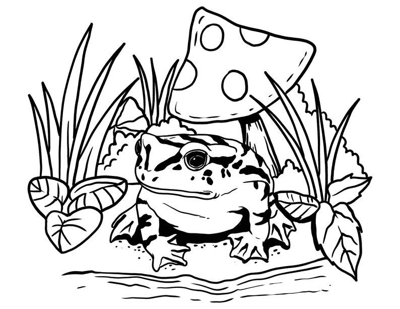 Printable Mushroom and Frog Coloring Page / Frogs Lovers / Digital
