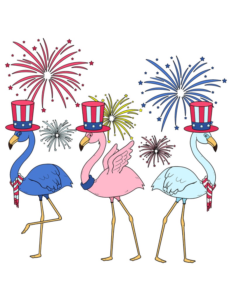 flamingo lake 4th of july