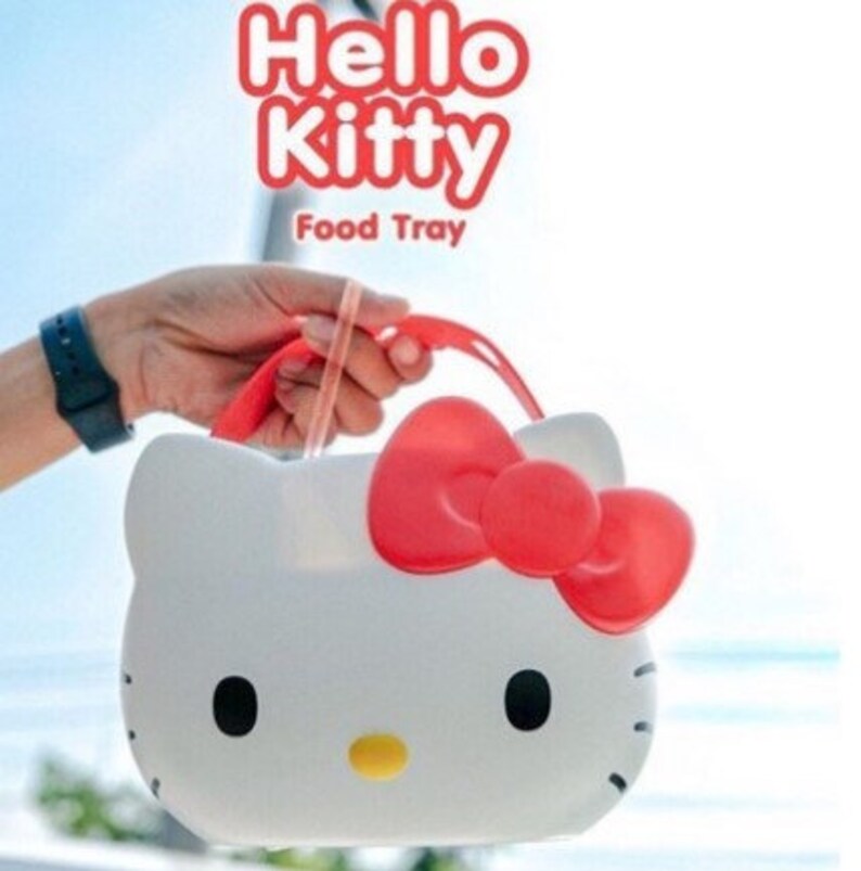 Hello Kitty Carrier Etsy