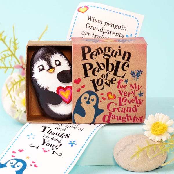 Hand Painted Penguin Pebble Pocket Hug, Meaningful friendship Gift for Friend who Loves Penguins
