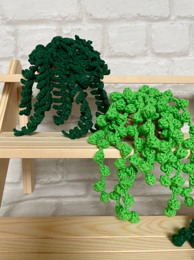 Crochet House Plant, Custom Crochet Plant, Crochet String of Pearls