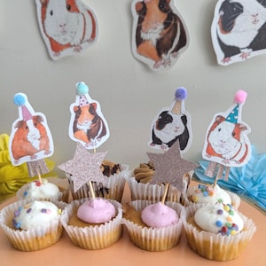 Guinea Pig Birthday Cake Toppers: Party Decorations