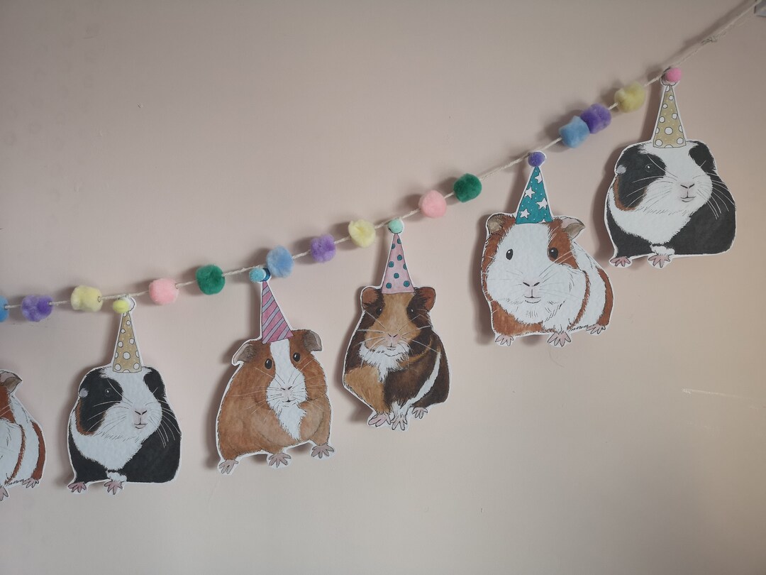 Guinea Pig Birthday Bunting Guinea Pig Garland Guinea Pig Party