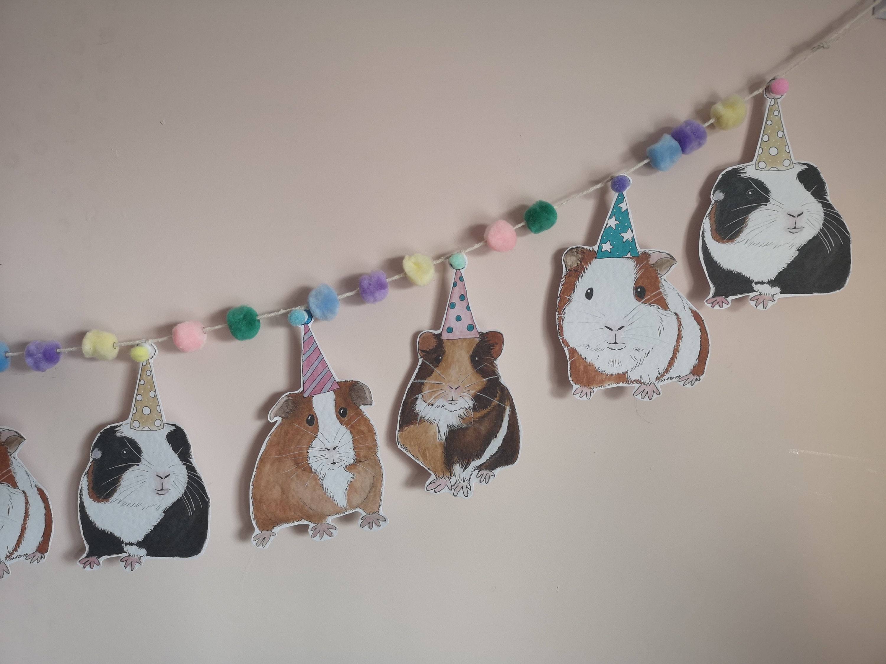  Guinea Pig Birthday Party Decorations Hamster Party Supplies  for Kids Include Happy Birthday Banner Kawaii Pui Pui Cartoon Decorations  ，Children Birthday Party Balloons Banners Cupcake Decorations : Toys & Games