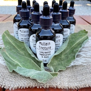 Mullein Leaf Tincture, 2 oz.