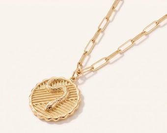 Serpent Coin Pendant, 14k Gold Snake Medallion Necklace, Customize Engraved Necklace