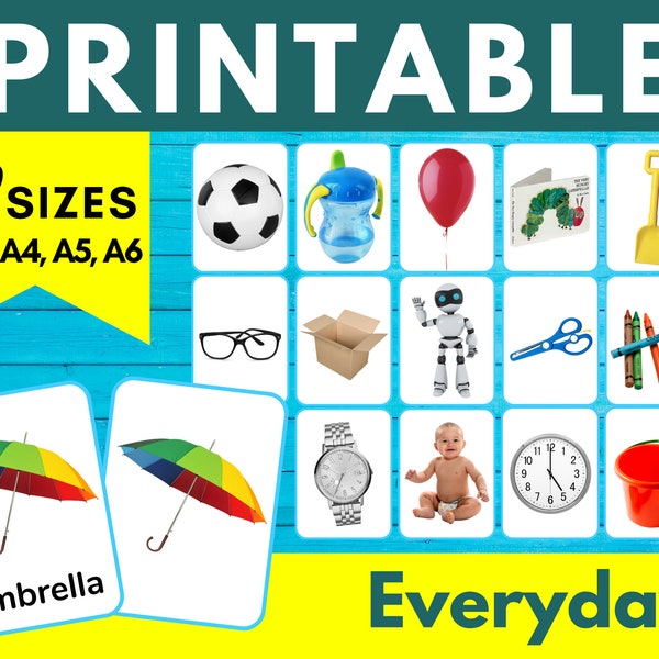 EVERYDAY • Flashcards • Printable Cards • Speech Therapy • Speech Pathology • Toddler • Baby • Kids