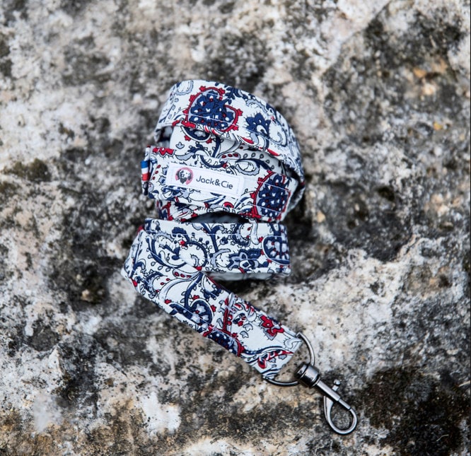 La Laisse Pour Chien French Touch'