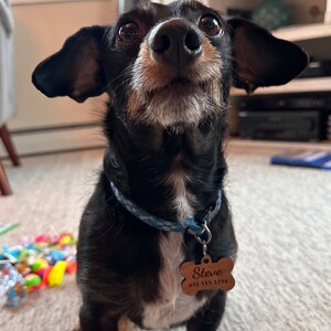 Personalized wooden dog tag, collar tag, pet identification, natural, personalized