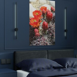 Orange Claret Cactus in Full Bloom Digital Download Large Format