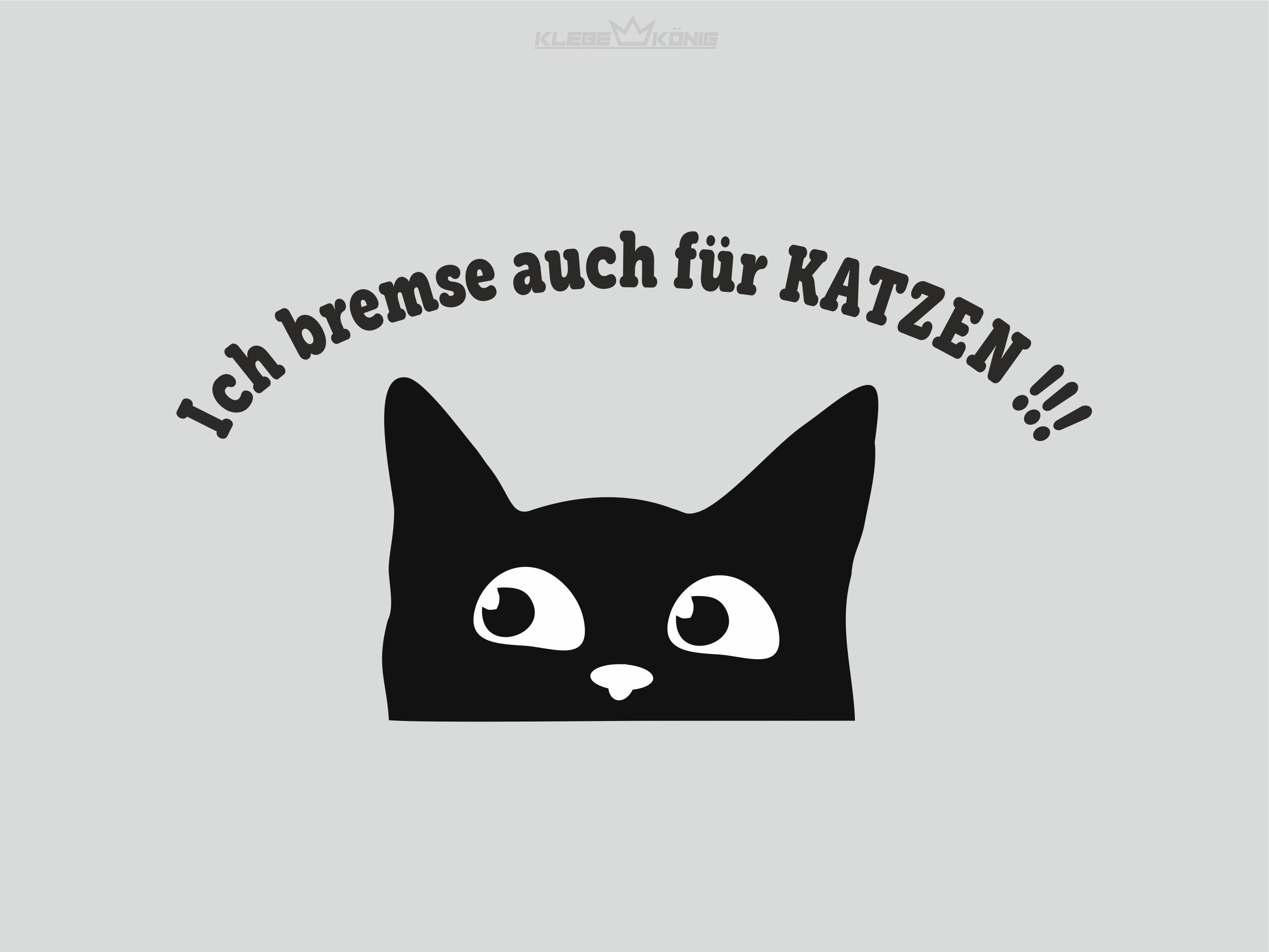Katze heckscheibe - .de