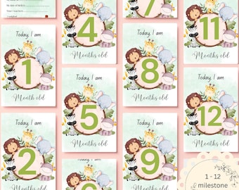 Set de tarjetas de hitos para bebés con temática de safari, accesorio de hitos de 5x7 para fotos mensuales del bebé, regalo unisex para baby shower, idea de regalo para bebés en la jungla.