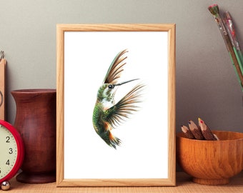 Ruby Throated Hummingbird Art Print: Female Archilochus Colubris Wall Decor