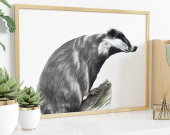 Badger Art Print: Meles meles Wall Decor