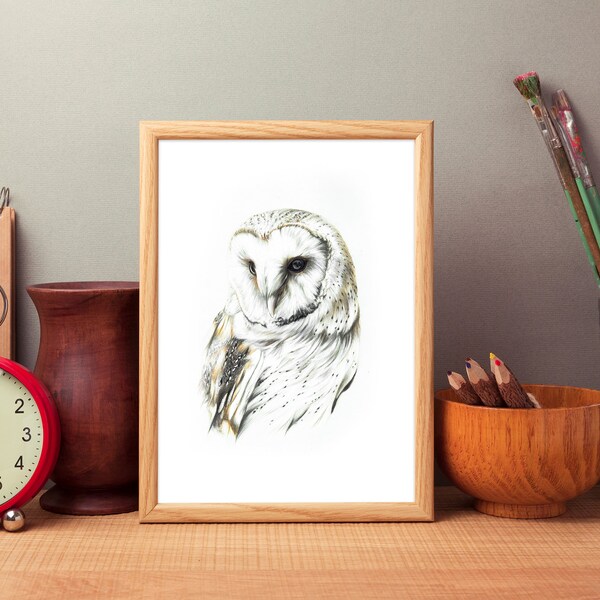 The Barn Owl Tyto alba Art Print Wall Decor Wall Art