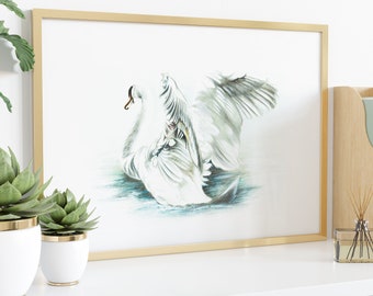 Mute Swan Art Print: Cygnus olor Wall Decor