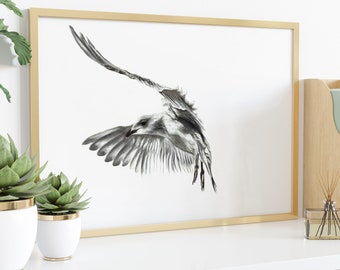 Common Gull Art Print: Coastal Bird Wall Decor