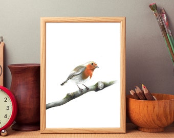 Robin Art Print: Erithacus rubecula Bird Wall Decor