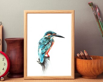 Kingfisher Art Print: Alcedo atthis Bird Wall Decor