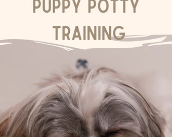 A Beginner's Guide to Puppy Potty Training