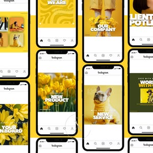 K&ouml;nnte beinhalten: Eine Sammlung von Instagram-Posts, die auf Smartphones angezeigt werden. Die Beitr&auml;ge zeigen gelbe und wei&szlig;e Grafiken mit Text wie "WE ARE", "NEW PRODUCT" und "YOUR ON BOARD". Andere Beitr&auml;ge zeigen einen Hund in einem gelben Pullover.