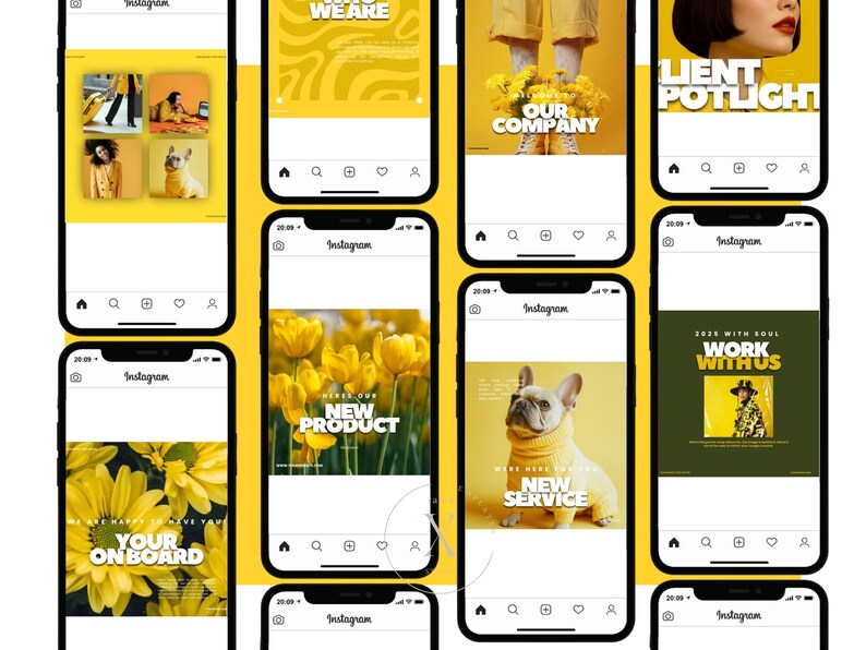 K&ouml;nnte beinhalten: Eine Sammlung von Instagram-Posts, die auf Smartphones angezeigt werden. Die Beitr&auml;ge zeigen gelbe und wei&szlig;e Grafiken mit Text wie "WE ARE", "NEW PRODUCT" und "YOUR ON BOARD". Andere Beitr&auml;ge zeigen einen Hund in einem gelben Pullover.