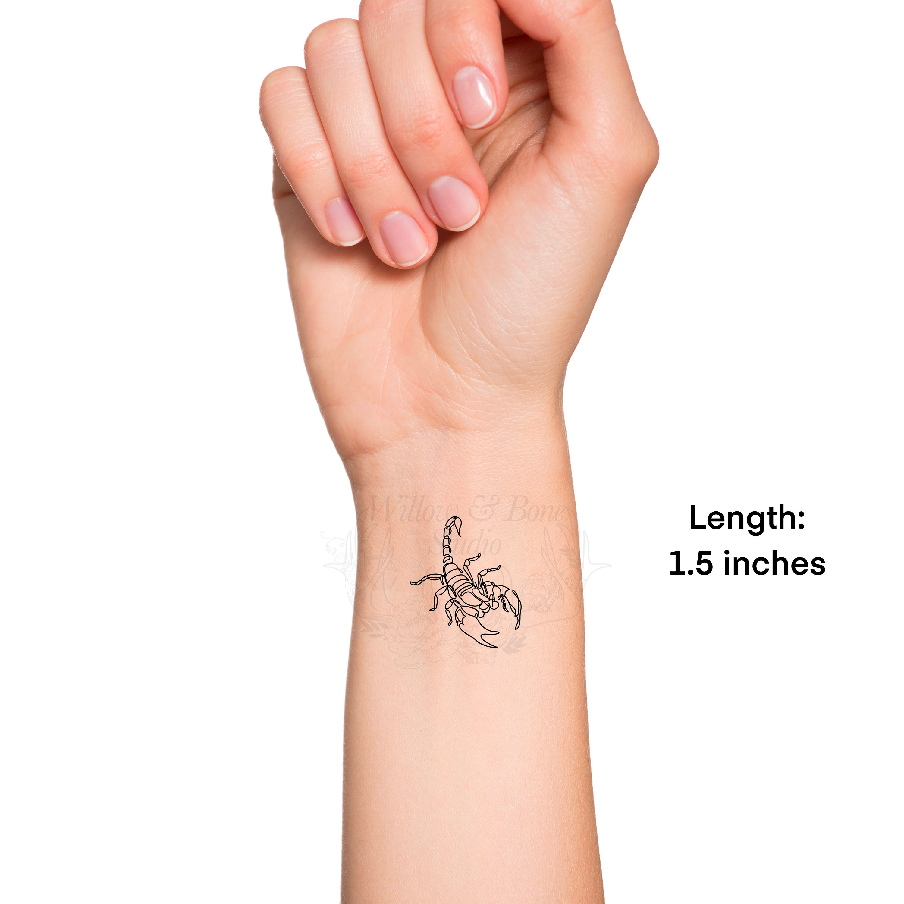 Scorpion Continuous Line Outline Temporary Tattoo Scorpio Minimalist  Arachnida Invertebrate Arthropod Animal Wrist Zodiac Tattoo - Etsy Hong Kong