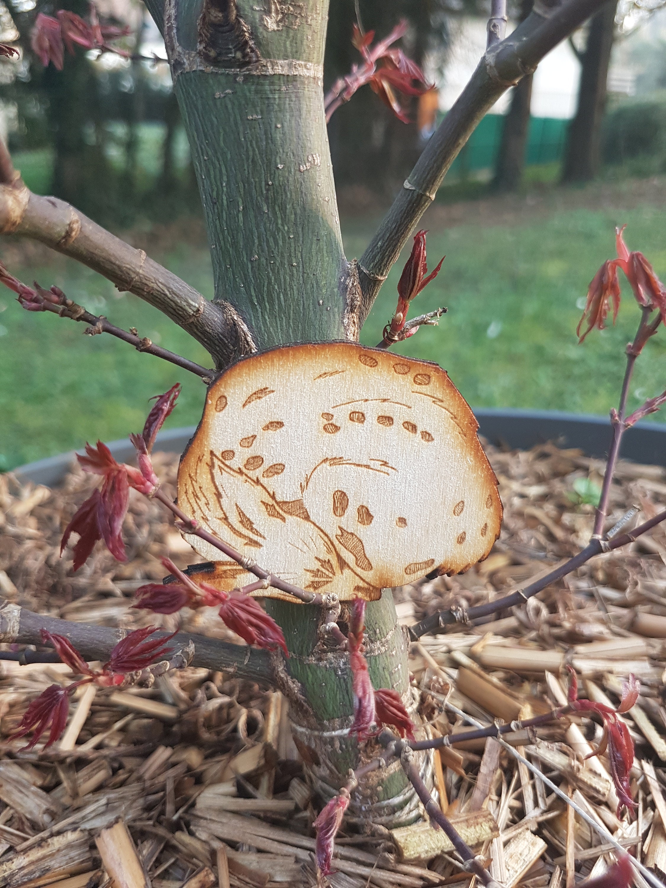 Magnets en Bois [Biche]