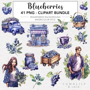 41 Watercolor Blueberries, Blueberry PNG, Blueberry Clipart, Commercial Use, Watercolor clipart, Transparent PNG