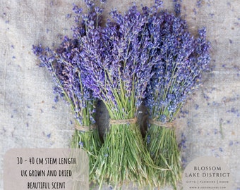 Quality British dried lavender bunch,fragrant English grown,natural blue,80 grams, approx 120 stems, lavender bouquet, purple dried flowers