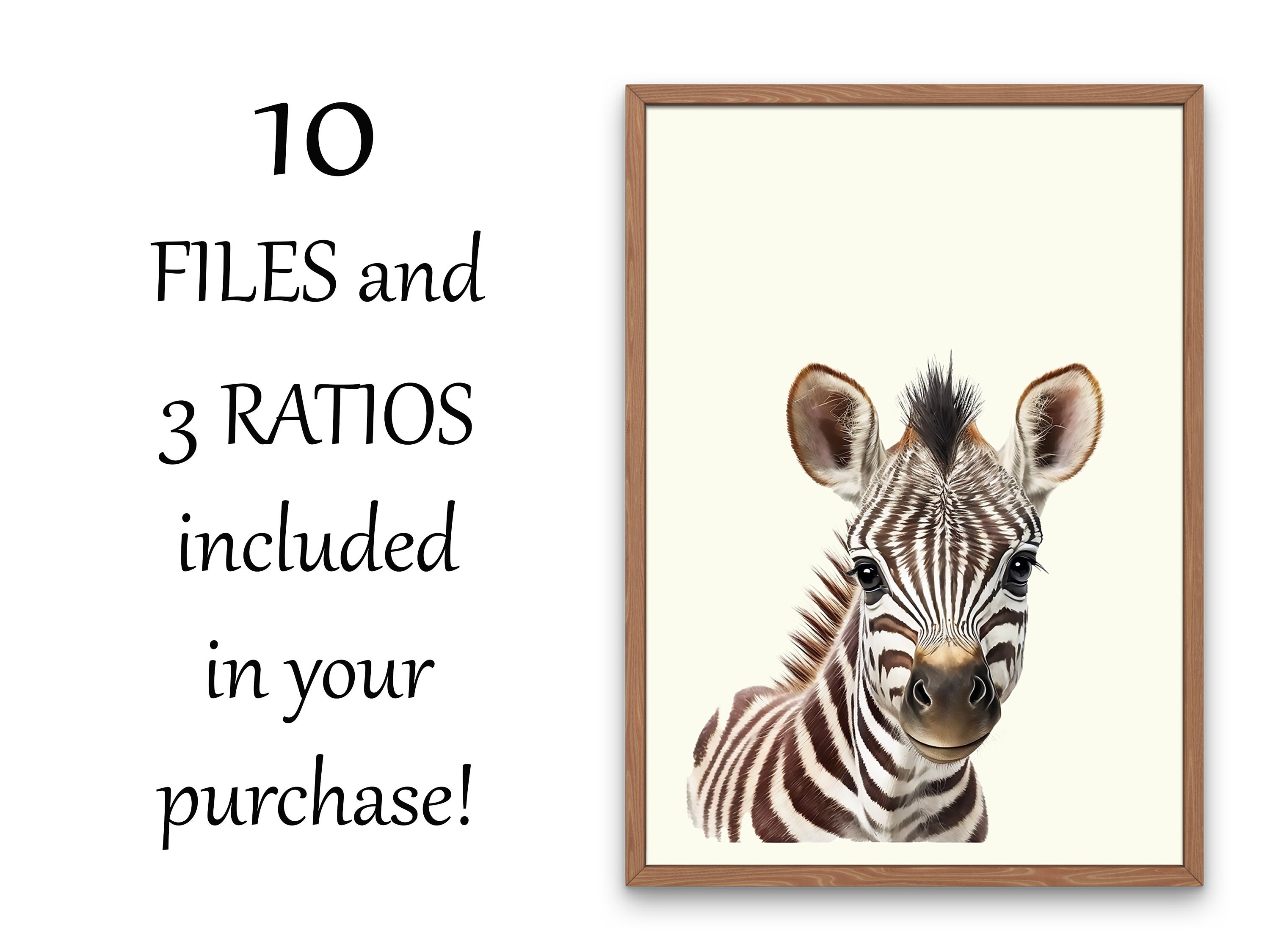 Cute Zebra Prints Baby Animal Prints Safari Nursery Prints Etsy