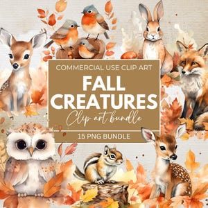Créature des bois png, lot de cliparts automne aquarelle, clipart éléments automne, clipart automne confortable, clipart Cottagecore, clipart citrouille