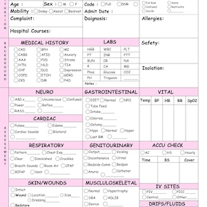 May include: A pink and white medical chart with headings for patient information, medical history, labs, vital signs, and assessments. The chart is divided into sections with checkboxes for various medical conditions and procedures.