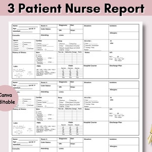 3 Patient Nursing Report Sheet