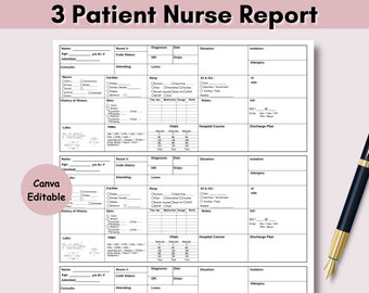 3 Patient Nursing Report Sheet