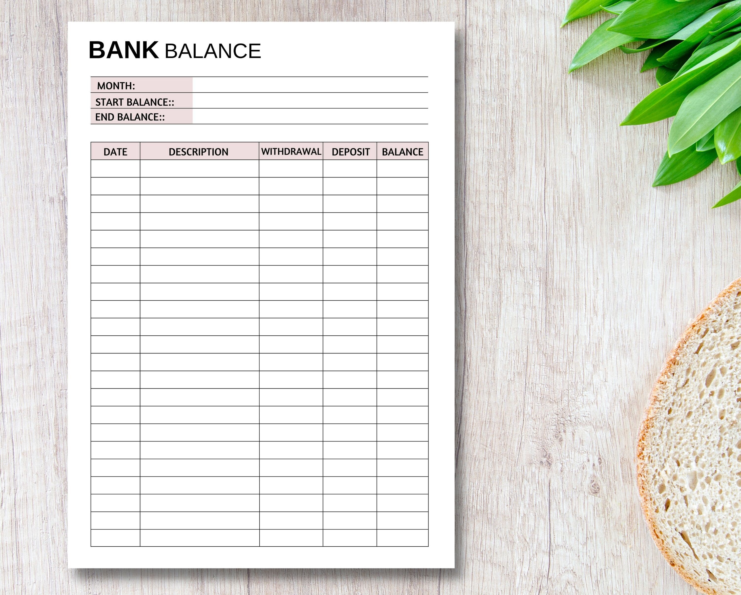 Bank Balance Printable Balance Sheet Bank Summary Finance - Etsy