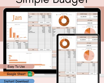 Simple Budget Planner Monthly Paycheck Budget Spreadsheet |  Google Sheet | Financial Planner | Budgeting Template | Beginner Budget