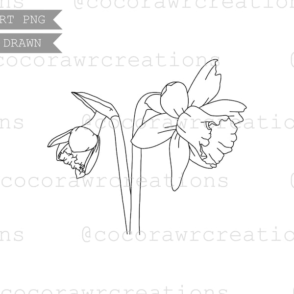 Daffodil Hand Drawn Digital Clipart - PNG File - Digital Stickers - Hand Drawn Graphic - Single Clipart - Floral Line Art - Birth Flower