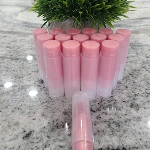 Lip Balm Bulk-All Natural lip balms-Bulk Party favors /Natural chapsticks/ no labels