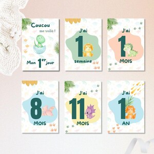 Cartes étapes bébé dinosaure - Cartes étapes naissance à 1 ère année - Cartes étapes mois anniversaires - Cadeau de naissance / Baby Shower