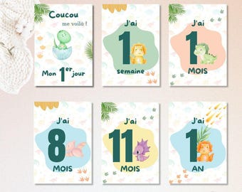 Baby dinosaur milestone cards - Birth to 1st year milestone cards - Monthly birthday milestone cards - Birth gift / Baby Shower