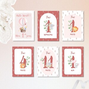 Baby milestone cards - Birth to 1st year milestone cards - Monthly birthday milestone cards - Birth gift / Baby Shower gift