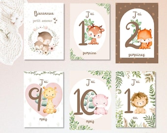 Cartes étapes bébé - Cartes étapes naissance à 1 ère année - Cartes étapes mois anniversaires - Cadeau de naissance / Cadeau Baby Shower