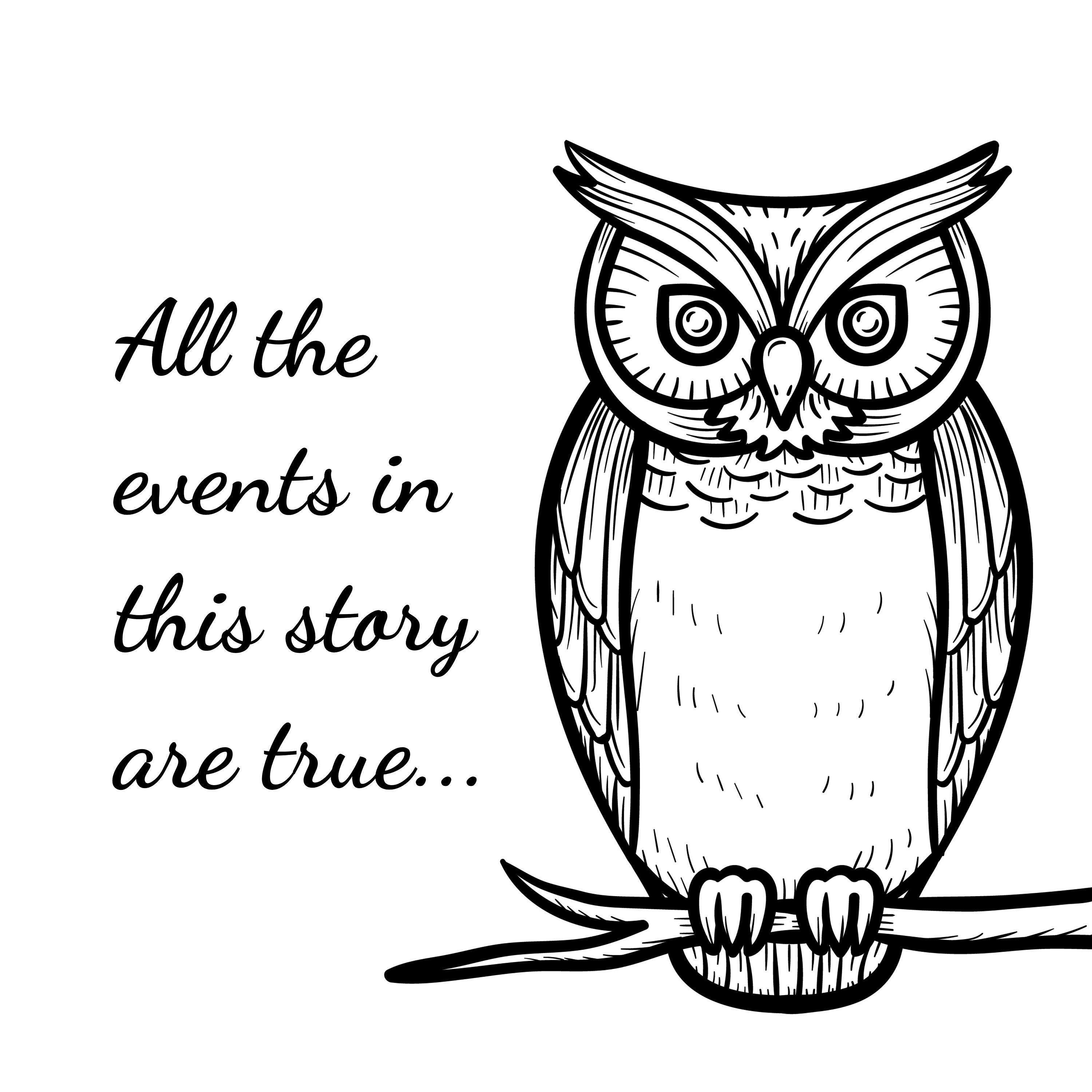 Black and White Owl Digital Print - Etsy