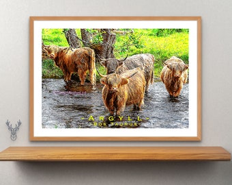 HIGHLAND COWS SCOTLAND | Vintage Style Poster | Highland Cows Poster | Highland Coo's Print | Scottish Highland Cows | Paddling Cows