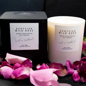 SCOTTISH WILD ROSE Soy Candle • Scottish Gift • Luxury Artisan Home Fragrance • Made in Scotland