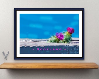 THISTLE SCOTTISH PRINT| Thistle Print | Thistle Poster | Scotlands National Flower | Scottish Art Print | Thistles